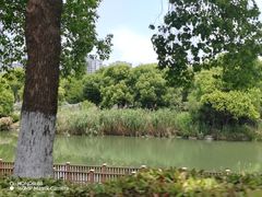 -苏州太湖湖滨国家湿地公园