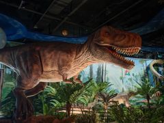 -陕西自然博物馆