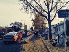 -长白岛森林公园