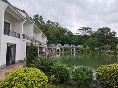 -谷丰健康凤贤居酒家