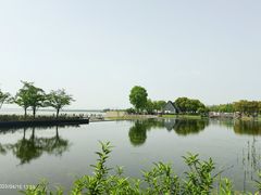 -滆湖低碳生态公园