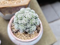 -瑞虹新天地月亮湾