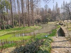 -杭州植物园