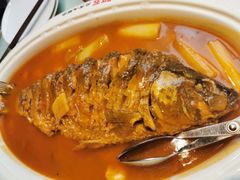 -阿五黄河大鲤鱼(英协路店)