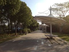 -新江湾城公园