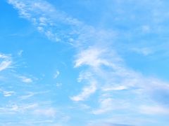 -碧海金沙