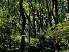 -杭州半山国家森林公园