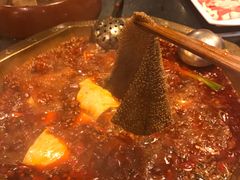 -蜀九香火锅(彩虹店)