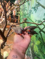 -Zoolung Zoolung动物主题公园(海信广场店)