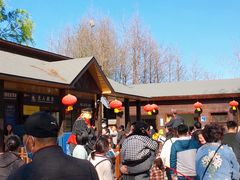 -溱湖国家湿地公园