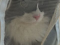 -宠颐生嘉德动物医院