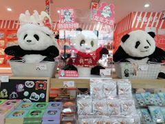 -熊猫邮局(少城店)