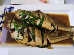 红烧黄花鱼-宾朋海鲜美食餐厅·特色美食(兴海路店)