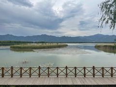 -野鸭湖国家湿地公园