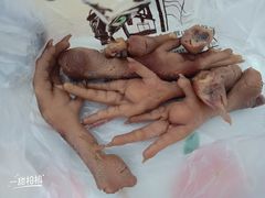 鸡爪-老杨家熟食店