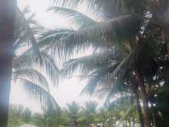 -蜈支洲岛珊瑚酒店临海阁中餐厅