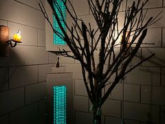 -bb boom运动闯关密室·聚会团建·家庭亲子(龙湖西溪天街店)