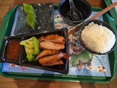 -雨林餐厅(长隆海洋王国店)