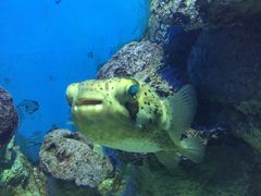 -福州罗源湾海洋世界旅游区