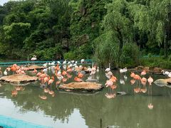 -宁波野生动物园