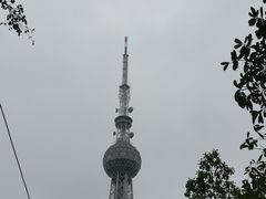 -文华公园(禅城区)