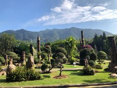 -深圳仙湖植物园