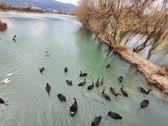 -长兴太湖图影湿地文化园