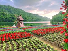 -广州市石门国家森林公园