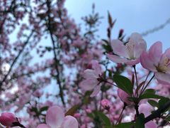 -天鹅湖体育公园