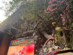 -长鹿旅游休博园