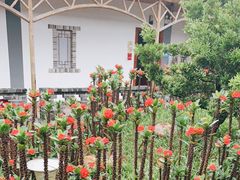 -庭苑美食中心·陈皮烧鹅·海鲜(台山店)