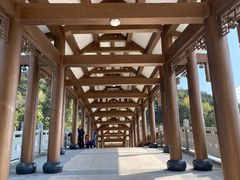 -梁野山景区