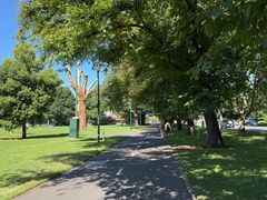 -墨尔本皇家植物园