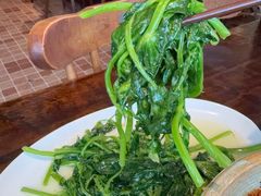 清炒豌豆尖-懒人盐府人家·自贡大麻鱼(安贞店)
