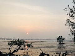 -宝安西湾红树林湿地公园