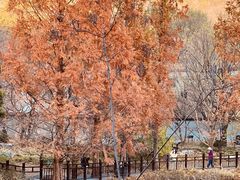 -国家植物园南园