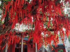 -国恩寺