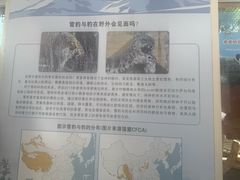 -青藏高原野生动物园