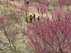 -福清灵石山国家森林公园