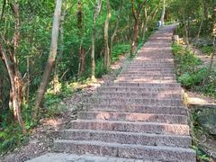 -紫金山山顶公园