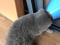 -安安宠医·安宠宠物医院