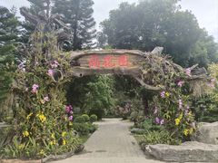 -东莞植物园