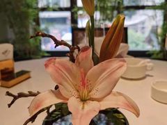 -漾亚·雍雅合鲜(鹭岛店)