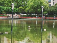 -苏州河梦清园环保主题公园