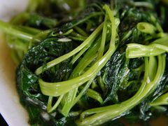 空心菜-临高吉海土窑