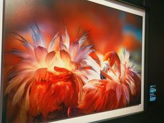 -罗红摄影艺术馆