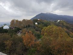 -紫金山天文台
