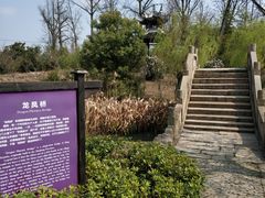 -韩湘水博园
