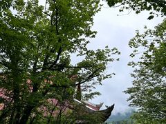 -峨眉山风景名胜区