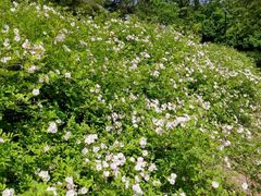 -南京市无想山景区